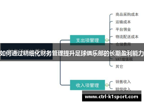 如何通过精细化财务管理提升足球俱乐部的长期盈利能力