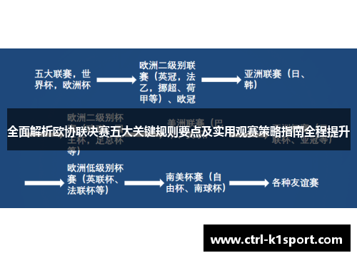 全面解析欧协联决赛五大关键规则要点及实用观赛策略指南全程提升
