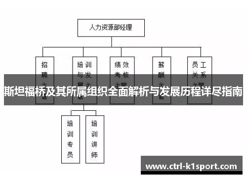 斯坦福桥及其所属组织全面解析与发展历程详尽指南 斯坦福桥及其所属组织全面解析与发展历程详尽指南
