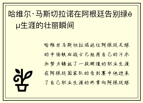哈维尔·马斯切拉诺在阿根廷告别绿茵生涯的壮丽瞬间