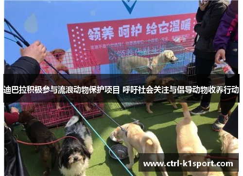 迪巴拉积极参与流浪动物保护项目 呼吁社会关注与倡导动物收养行动
