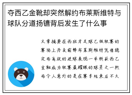 夺西乙金靴却突然解约布莱斯维特与球队分道扬镳背后发生了什么事